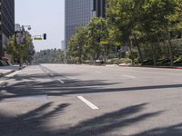 an empty street with tall buildings in the background and trees on both sides of the road