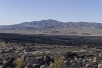 California Highland Desert Road