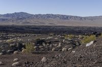 California Highland Desert Road