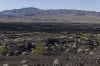 California Highland Desert Road