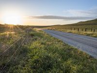 California Highland Field: Vibrant Green Grass