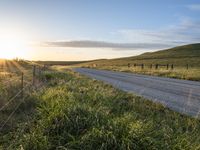 California Highland Field: Vibrant Green Grass