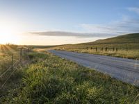 California Highland Field: Vibrant Green Grass