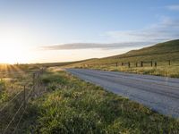 California Highland Field: Vibrant Green Grass