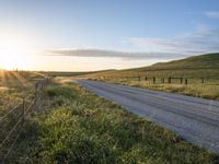 California Highland Field: Vibrant Green Grass