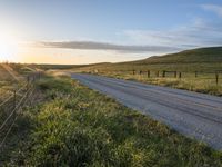 California Highland Field: Vibrant Green Grass