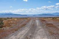 dirt road in a desert area with mountains in the distance and grass on either side