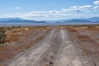 dirt road in a desert area with mountains in the distance and grass on either side