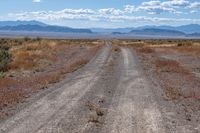 dirt road in a desert area with mountains in the distance and grass on either side