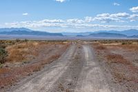 dirt road in a desert area with mountains in the distance and grass on either side