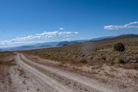 dirt road in an arid field with mountains in background at daytime with cloudy blue skies