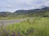 California Highland Mountain Road Scenic View 001