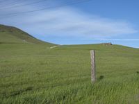 California Highland Road Landscape