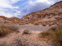 a desert in the middle of nowhere, near some tall rocks and bushes on a sunny day