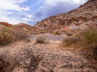 a desert in the middle of nowhere, near some tall rocks and bushes on a sunny day