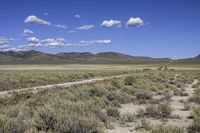 a field with a dirt road surrounded by green bushes and grass and mountains in the background