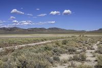 a field with a dirt road surrounded by green bushes and grass and mountains in the background