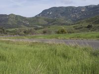 a highway next to lush green mountains with an area for animals to walk along on