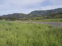 a highway next to lush green mountains with an area for animals to walk along on