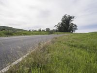 a black motorcycle is going along the road in a green grassy field by the side of the road