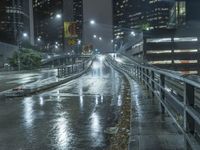 California Highway at Night: A Reflection of Urban Life