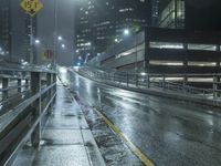 California Highway at Night: A Reflection of Urban Life