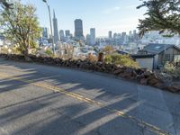 California Highway Suburban Residential View 004