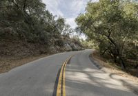 a highway with trees lining both sides and a man on the sidewalk looking down at him