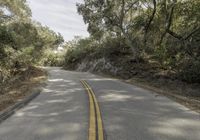 a highway with trees lining both sides and a man on the sidewalk looking down at him