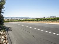 the corner of a highway that leads to a vineyard and trees in the background and on the left a sign is posted