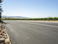 the corner of a highway that leads to a vineyard and trees in the background and on the left a sign is posted