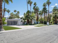 California Home: A Residential Oasis Among Palm Trees