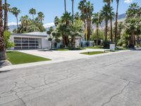 California Home: A Residential Oasis Among Palm Trees