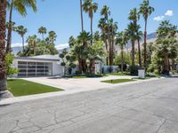 California Home: A Residential Oasis Among Palm Trees