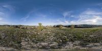 a panorama photo of the view from outside of a home's window with an area for trees in a field