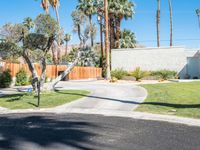 California House with Modern Architecture and Palm Trees