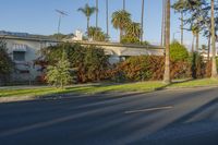 the house is surrounded by palm trees and bushes on a sunny day with a motorcycle parked outside