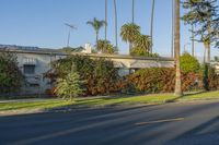 the house is surrounded by palm trees and bushes on a sunny day with a motorcycle parked outside