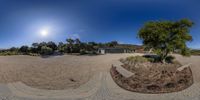 a fish eye lens photo of a house and tree in a yard with rocks and plants