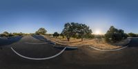 a photo taken from the bottom half of a large camera lens showing an intersection with trees, shrubs and a road