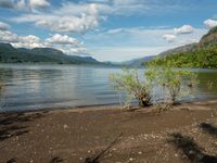 a bush sitting on the shore near a lake and a mountain range in the background