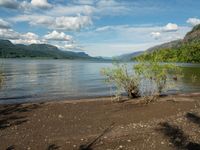 a bush sitting on the shore near a lake and a mountain range in the background