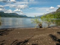 a bush sitting on the shore near a lake and a mountain range in the background