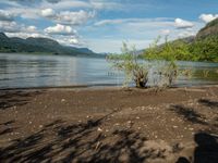 a bush sitting on the shore near a lake and a mountain range in the background