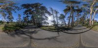 a 360 - view image of trees at the lake shore as seen from underneath the street