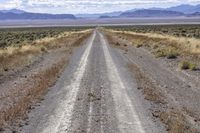 California Landscape: Asphalt Road Under a Clear Sky