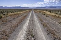 California Landscape: Asphalt Road Under a Clear Sky