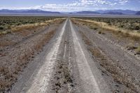 California Landscape: Asphalt Road Under a Clear Sky