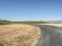 California Landscape: Asphalt Road and Grass