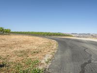 California Landscape: Asphalt Road and Grass